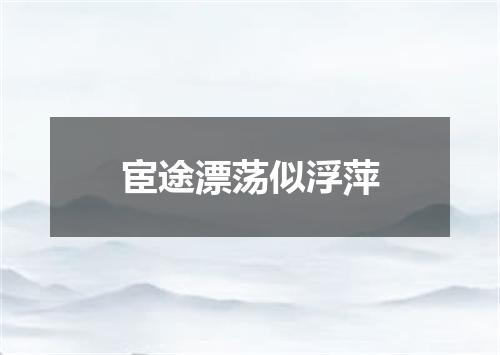 宦途漂荡似浮萍