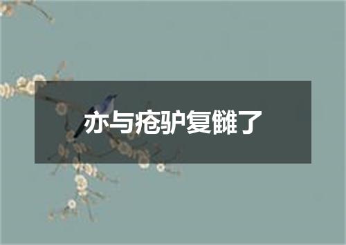 亦与疮驴复雠了