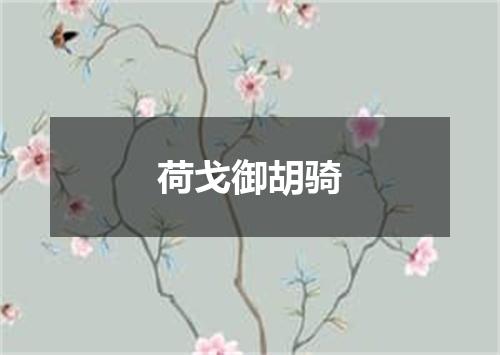 荷戈御胡骑