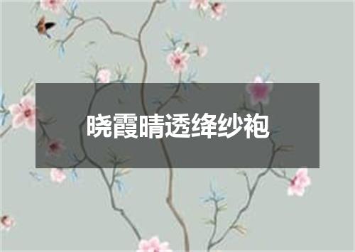 晓霞晴透绛纱袍