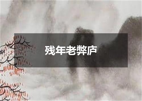 残年老弊庐