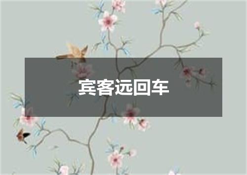 宾客远回车