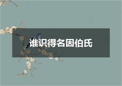谁识得名因伯氏