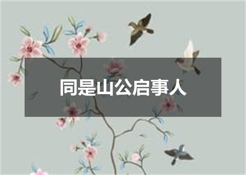 同是山公启事人