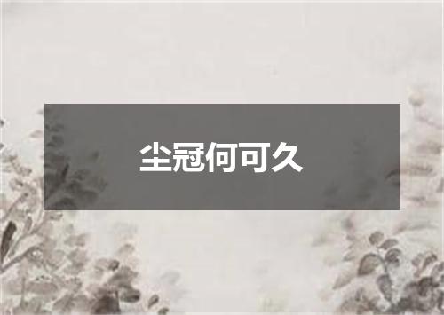 尘冠何可久