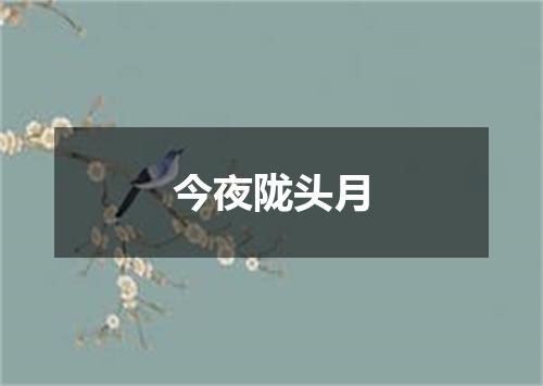 今夜陇头月