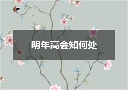明年高会知何处