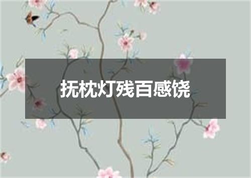 抚枕灯残百感饶