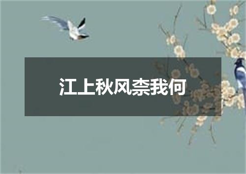 江上秋风柰我何