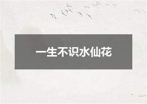 一生不识水仙花