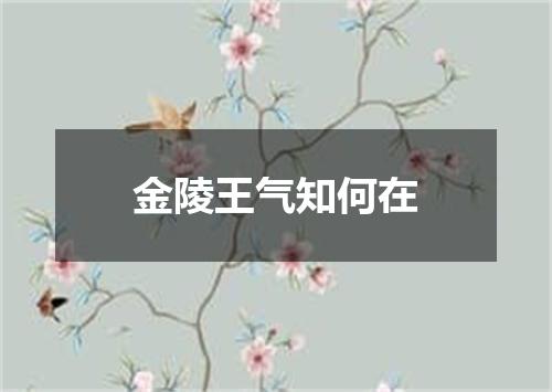 金陵王气知何在
