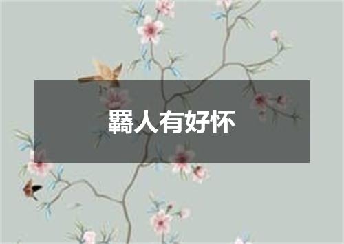 羇人有好怀