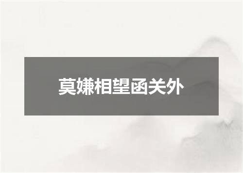 莫嫌相望函关外