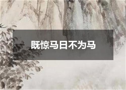 既惊马日不为马