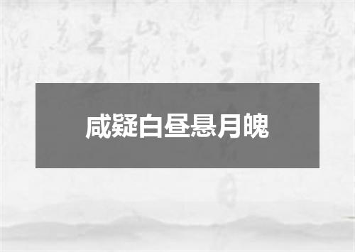咸疑白昼悬月魄