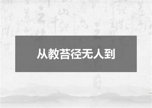 从教苔径无人到