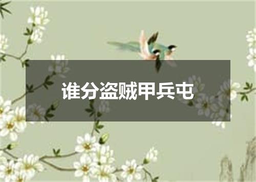 谁分盗贼甲兵屯