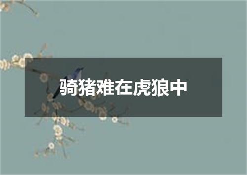 骑猪难在虎狼中