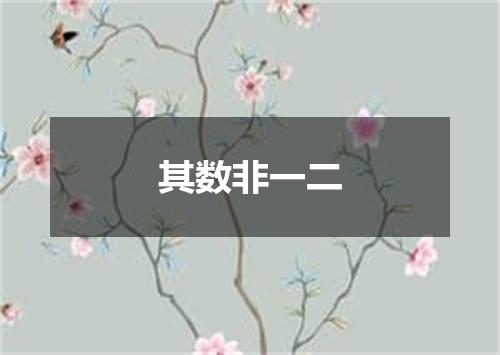 其数非一二
