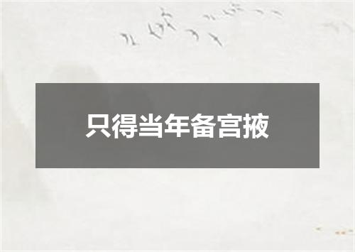只得当年备宫掖