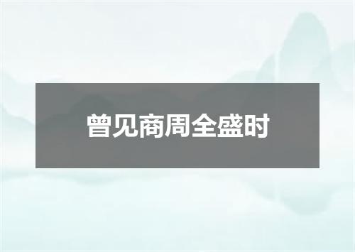 曾见商周全盛时