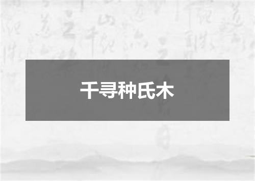 千寻种氏木
