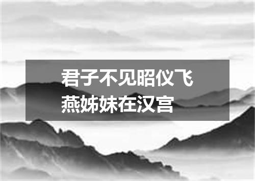 君子不见昭仪飞燕姊妹在汉宫