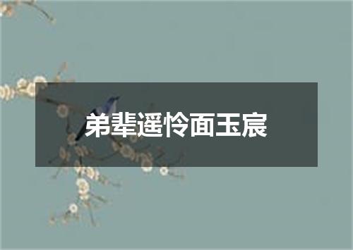 弟辈遥怜面玉宸