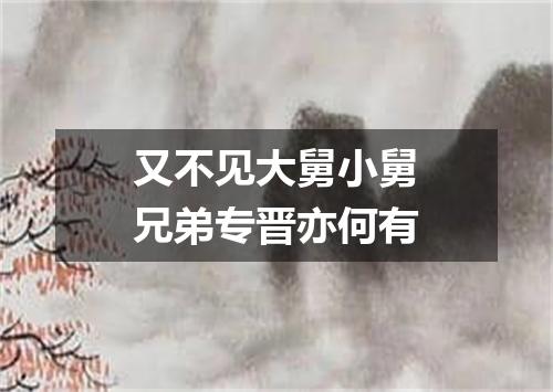 又不见大舅小舅兄弟专晋亦何有