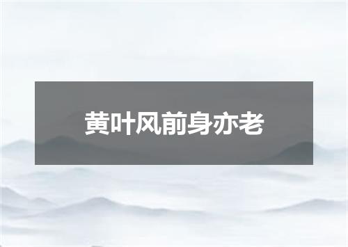 黄叶风前身亦老
