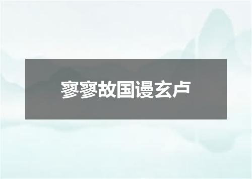 寥寥故国谩玄卢