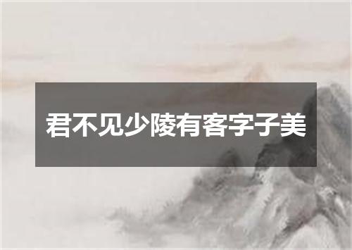 君不见少陵有客字子美