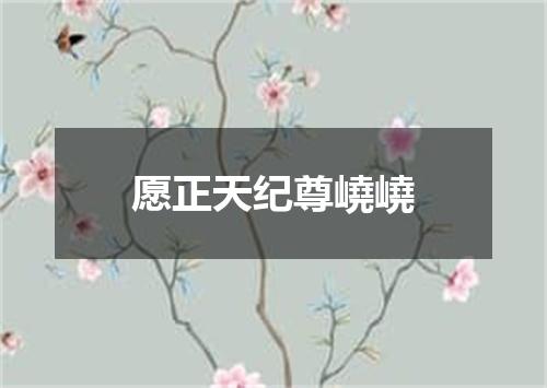 愿正天纪尊嶢嶢
