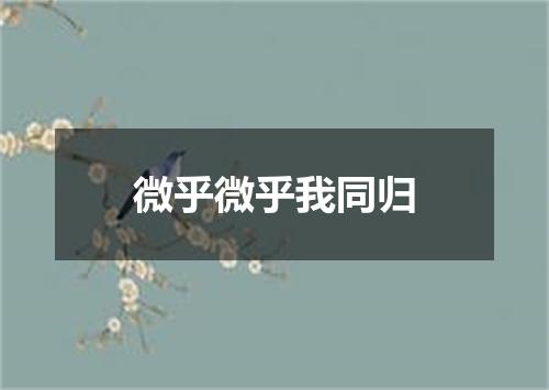 微乎微乎我同归