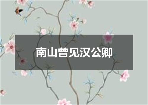 南山曾见汉公卿