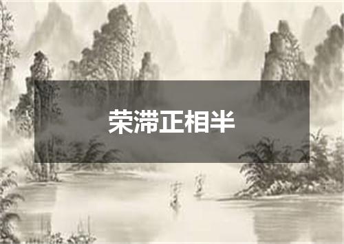 荣滞正相半