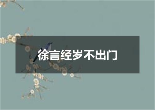 徐言经岁不出门