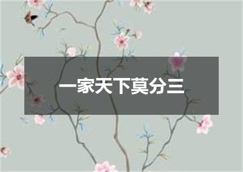 一家天下莫分三