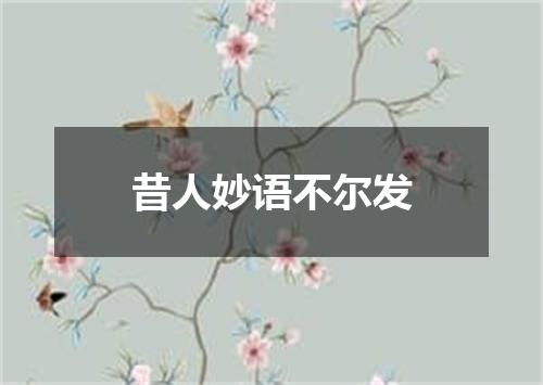 昔人妙语不尔发