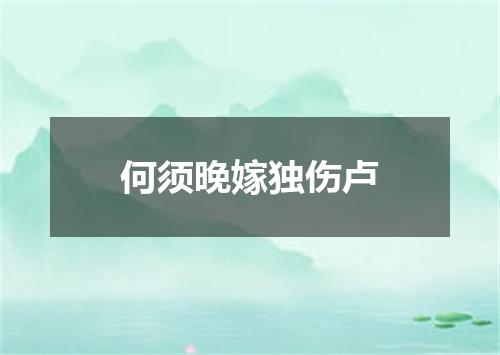 何须晚嫁独伤卢