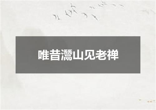 唯昔灊山见老禅