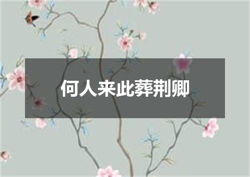 何人来此葬荆卿