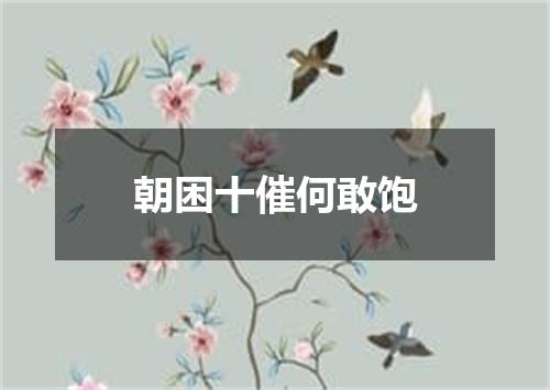 朝困十催何敢饱