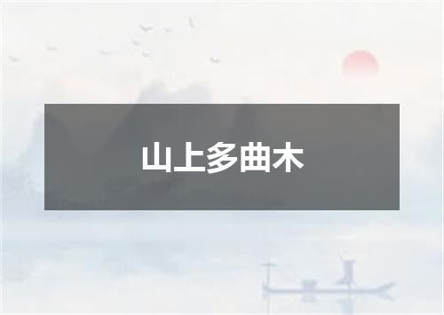 山上多曲木