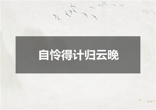 自怜得计归云晚