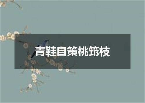 青鞋自策桃筇枝