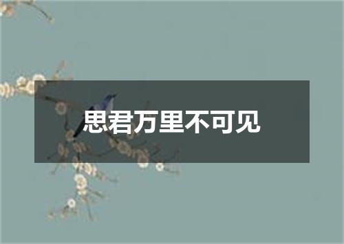 思君万里不可见