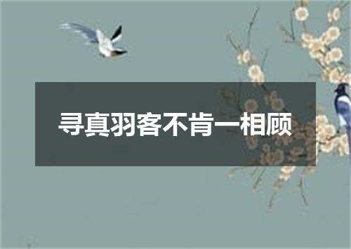 寻真羽客不肯一相顾