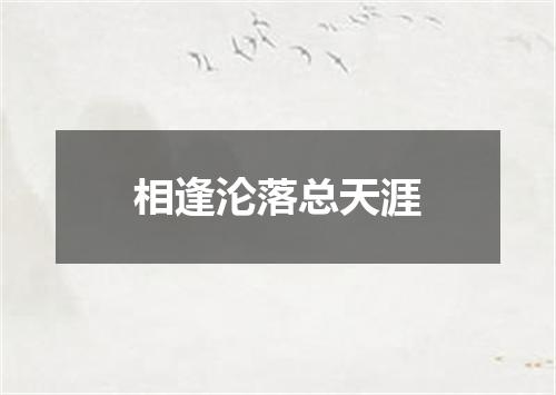 相逢沦落总天涯