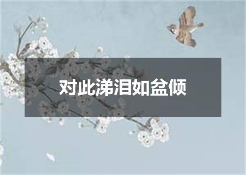 对此涕泪如盆倾